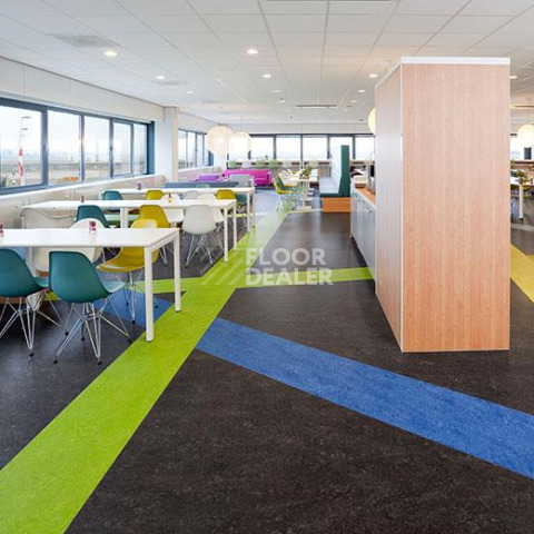 Forbo Marmoleum Decibel on Order 324735 green фото 3 | FLOORDEALER